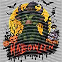 Halloween-WS 8204